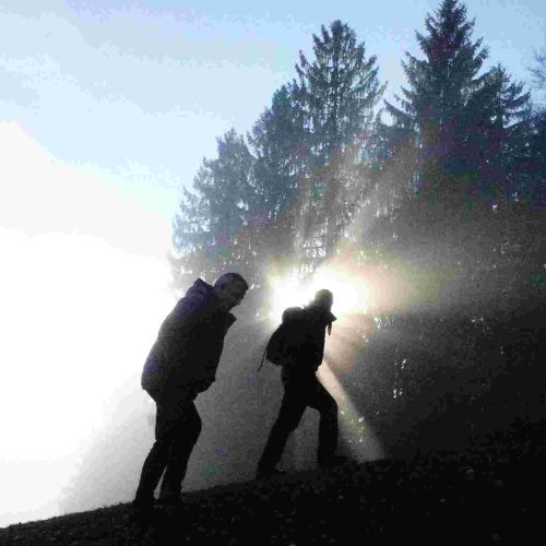 Gegenlicht Person vor Baum
