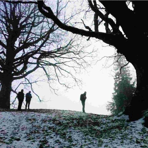 Winterbaum mit Person
